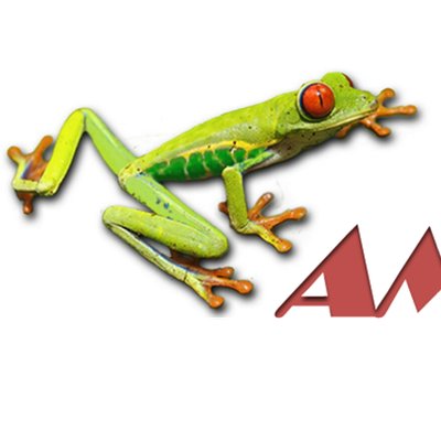 Ferrite-based magnets to power future green economy, AMPHIBIAN project