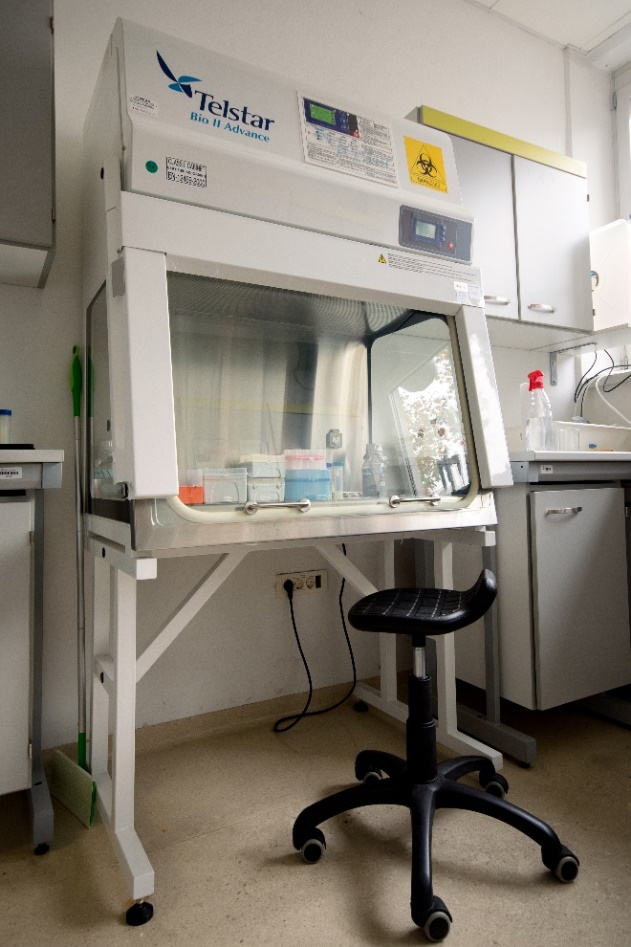 Laminar Flow Biosafety Cabinet, Bio II Advance, Telstar