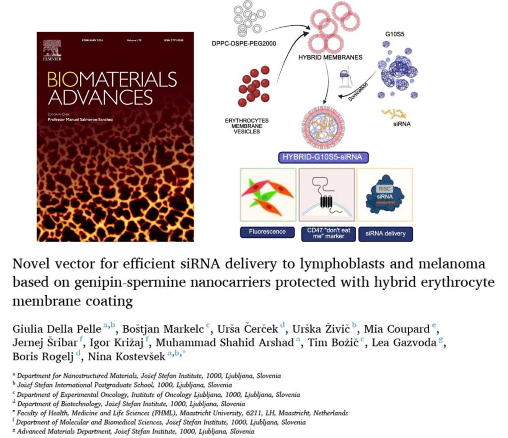 Article published in Biomaterials Advances