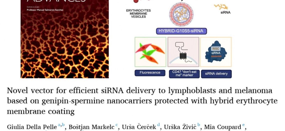 Biomaterials Advances hybrids_Kostevšek